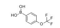 4-Trifluoromethoxyphenylboronic acid, 4-Trifluoromethoxyphenylboronic acid