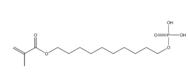 12-Methacryloyldodeylphosphate