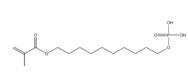 12-Methacryloyldodeylphosphate
