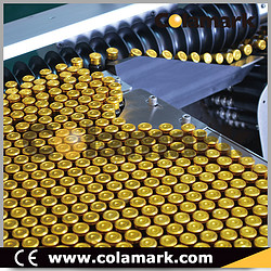 Colamark|达尔嘉 A205 转姿卧式圆瓶智能贴标机