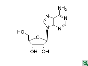 腺苷(rA)