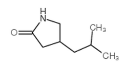 4 -异丁基- 2 -吡咯烷酮