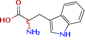 L-色氨酸，L-2-氨基-3-吲哚基丙酸，L-Tryptophan