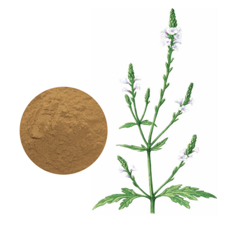 马鞭草提取物