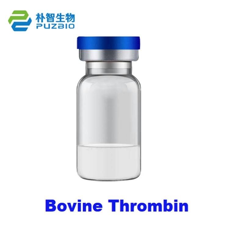 牛凝血酶Thrombin Bovine High Activity