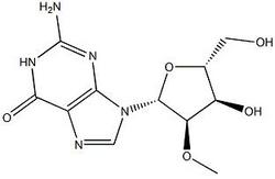 2'-甲氧基鸟苷