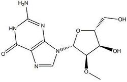 2'-甲氧基鳥苷