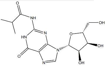 N2-異丁?；B(niǎo)苷一水合物