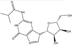 N2-異丁?；B(niǎo)苷一水合物