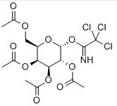 2,3,4,6-四-O-乙酰基-Α-D-吡喃半乳糖酰基-2,2,2-三氯代亚氨乙酸酯