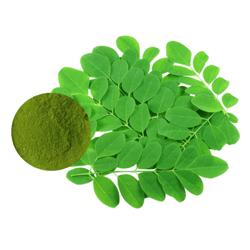 辣木葉粉