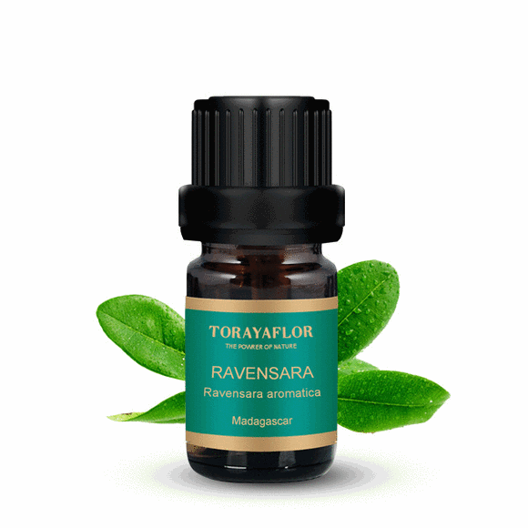 100% pure and natural Ravensara essential oil