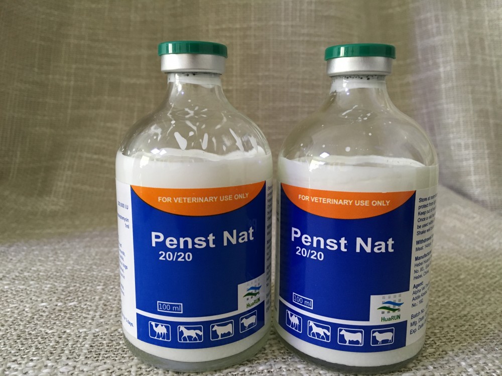 Procain Penicillin & Dihydrostreptomycin injectable suspension