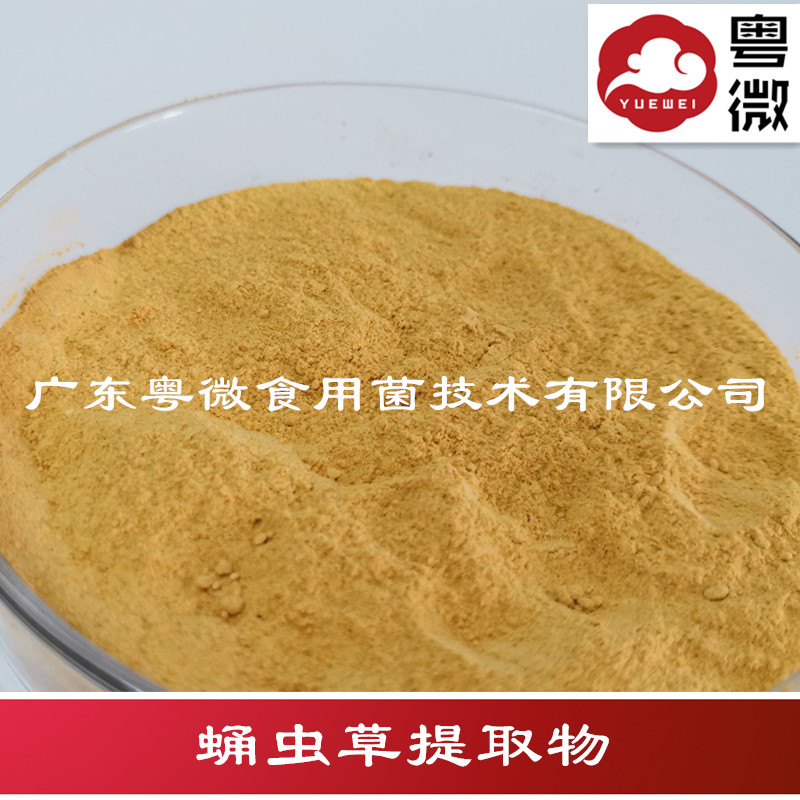 蛹蟲草提取物
