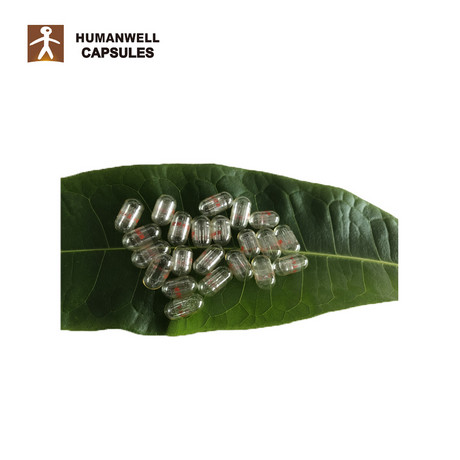 Logo printing Pharmaceutical Empty hard gelatin Capsule Shells
