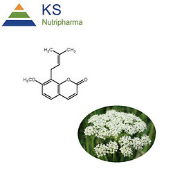 现货供应 蛇床子提取物 蛇床子素