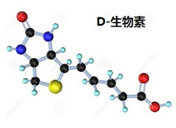 生物素