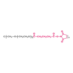 四臂聚乙二醇琥珀酰亚胺戊二酸酯（酯键） 4-arm Poly(ethylene glycol) succinimidyl glutarate