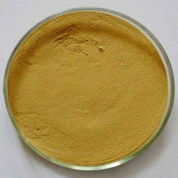松樹(shù)皮提取物 OPC 95% 原花青素 CAS 133248-87-0