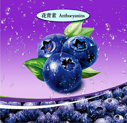 蓝莓提取物