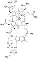 維生素B12