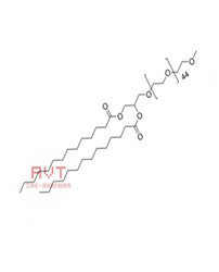 DMG-PEG2000長循環(huán)脂質(zhì)體