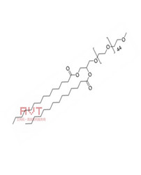 DMG-PEG2000长循环脂质体