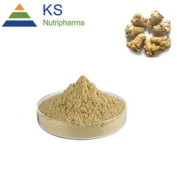 三七提取物 三七總皂甙 75% 80%