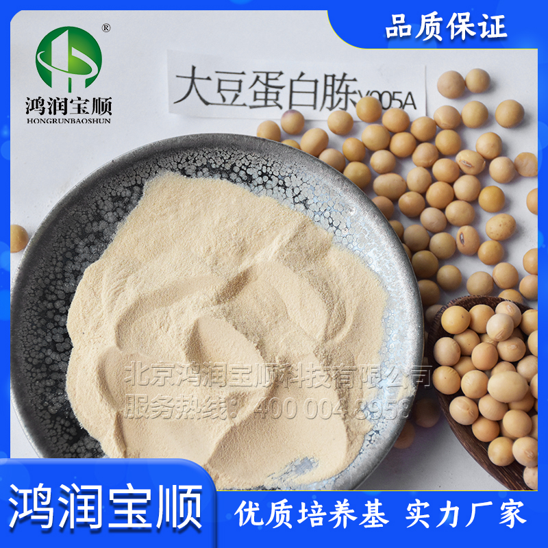 大豆蛋白胨Y005A