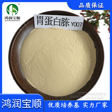 胃蛋白胨Y007