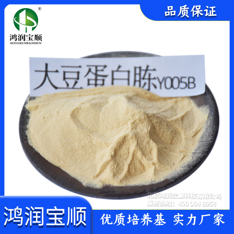 大豆蛋白胨Y005B