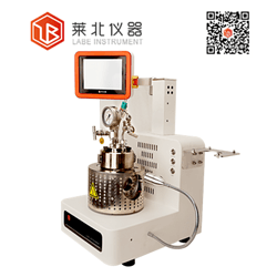 高溫高壓可視反應釜