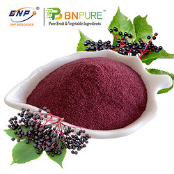 接骨木汁粉Elderberry Juice Powder 