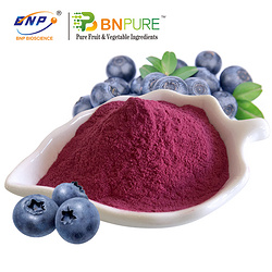 蓝莓汁粉Blueberry Juice Powder