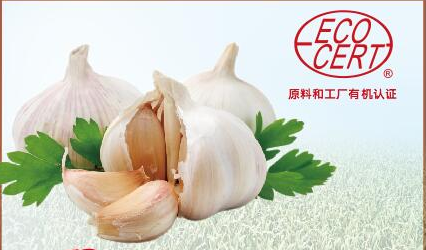 大蒜提取物 Garlic Extract