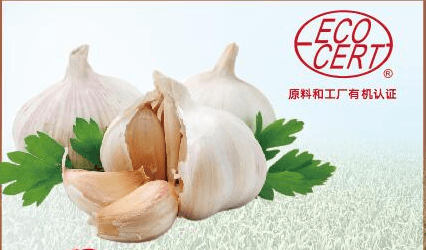 大蒜提取物 Garlic Extract