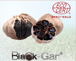 黑蒜提取物 Black Garlic Extract