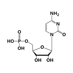 胞苷酸