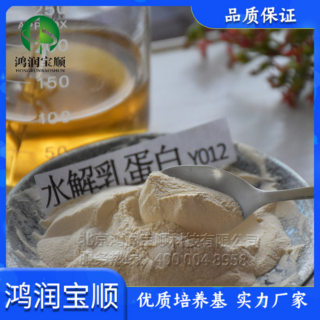 水解乳蛋白