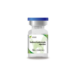 透明質(zhì)酸鈉關(guān)節(jié)注射液