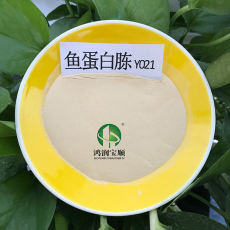 鱼蛋白胨