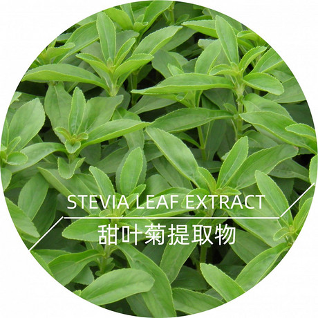 甜叶菊提取物