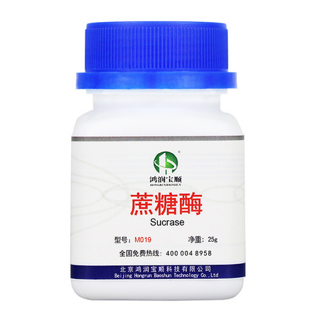 蔗糖、酶