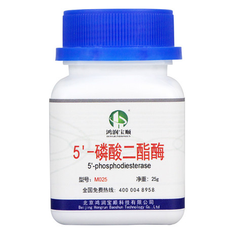 5’- 磷酸二酯酶