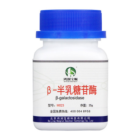 β-半乳糖苷酶