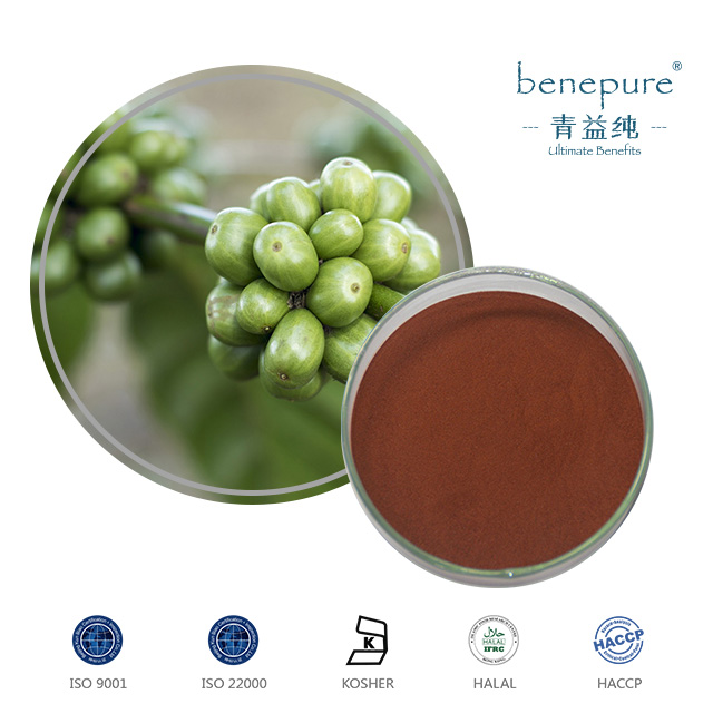 綠咖啡豆提取物