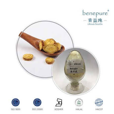 黄芩提取物
