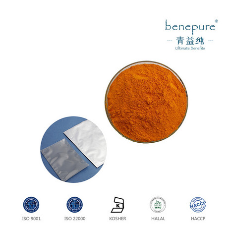 辅酶Q10