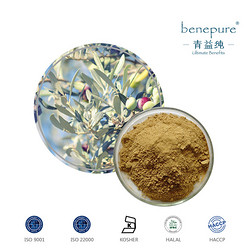橄欖葉提取物