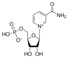 烟酰胺单核苷酸